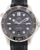 Omega Seamaster Diver 300M Master Co-Axial 42 Stainless Steel / Black / Rubber