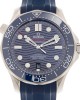 Omega Seamaster Diver 300M Master Co-Axial 42 Stainless Steel / Blue / Rubber